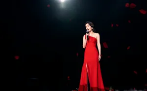 刘敏涛性感红裙舞台照图片_3