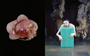 何穗冷艳硬照写真图片_14