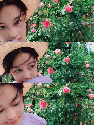 张馨予文艺清新嗅花照图片_5
