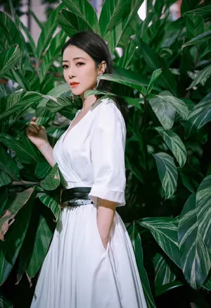 陈紫函白裙优雅性感写真图片