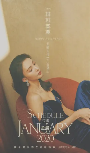 金晨丝绒长裤优雅写真图片