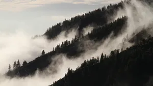 仙境般的云雾风景图片_3