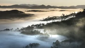 仙境般的云雾风景图片_12