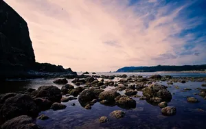 高清海岸风景图片_8