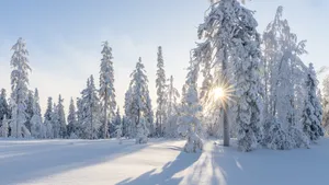 高清冬季雪景图片_6