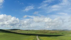 绿色优美的草原风景图片_5