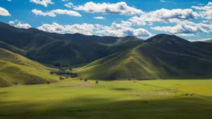 绿色优美的草原风景图片_6