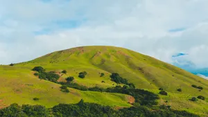 绿色优美的草原风景图片_9