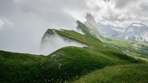 绿色优美的草原风景图片_10