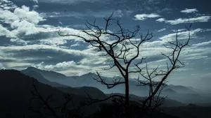 唯美黄昏风景图片壁纸_4