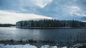 绿色森林图片风景_4