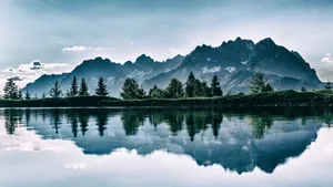 绿色森林图片风景_15