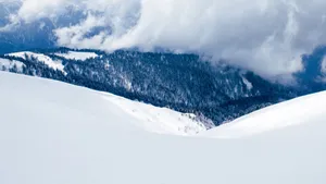阿尔卑斯山雪景图片_5