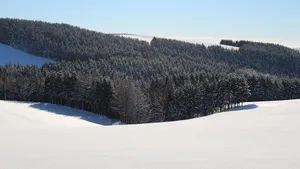 唯美雪景图片大全大图_3