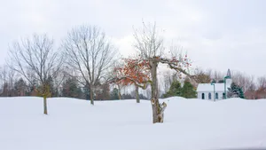 唯美雪景图片大全大图_4