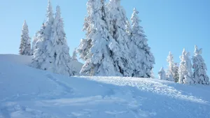 唯美雪景图片大全大图_6