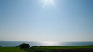 天空刺眼的阳光太阳图片_8