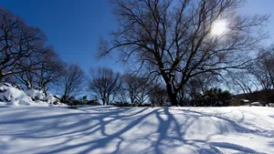 大雪过后的图片_3