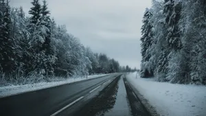 大雪过后的图片_5