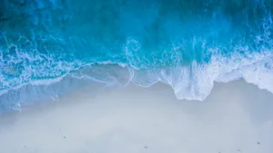 大海海滩风景图片_3