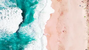 大海海滩风景图片_4