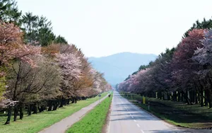 北海道风光 第一辑_14