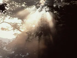 云雾缭绕 第二辑