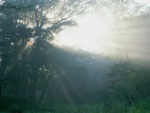 云雾缭绕 第二辑_6