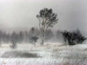云雾缭绕 第二辑_18