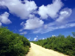 道路 第一辑_11