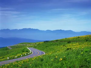道路 第一辑_18