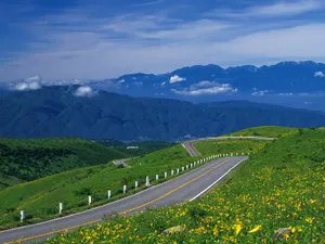 道路 第一辑_19