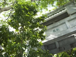 中国风情 第一辑_13