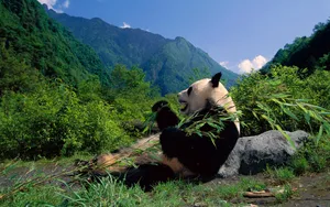 中国风光 第一辑_3
