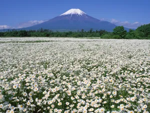 富士山 第四辑_5