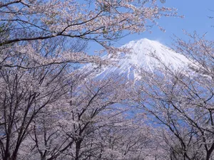 富士山 第四辑_11