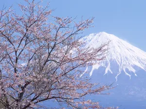 富士山 第四辑_17