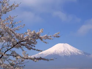 富士山 第三辑_16