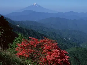 富士山 第一辑_2