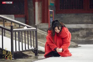 angelababy《上新了故宫》唯美雪景图片_3