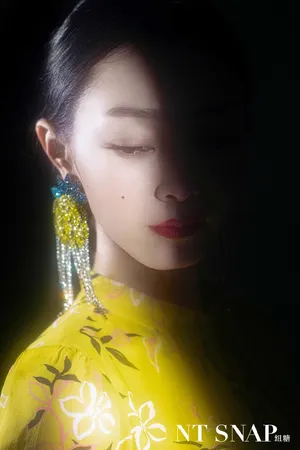 宋轶时尚百变写真图片