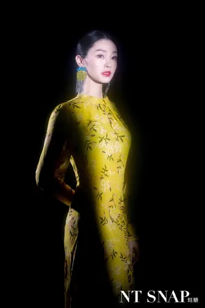宋轶时尚百变写真图片_12