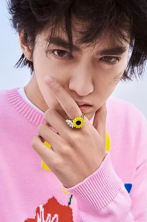 吴亦凡品牌代言写真图片_5