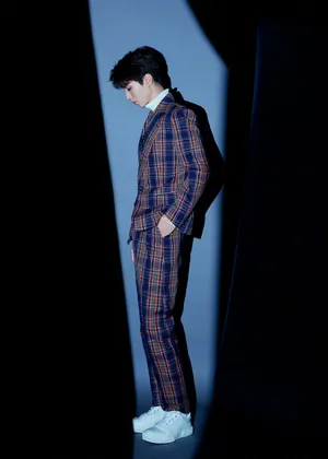 王俊凯纹格西装微博之夜写真图片_2