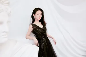 赵丽颖冷艳高贵古典写真图片_10