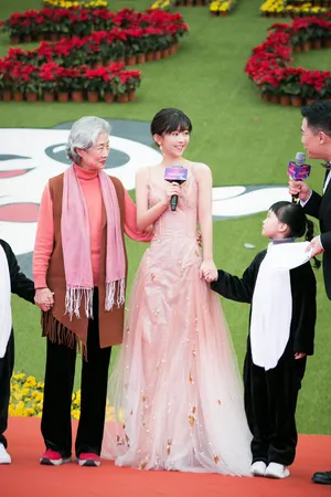 演员宋伊人粉色纱裙性感图片_4