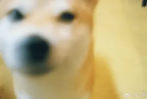 张子枫活力俏皮居家私服图片_4