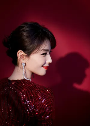 刘涛红色亮片高开叉长裙性感图片_4