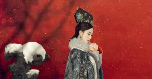 宁心唯美古装剧照图片_5