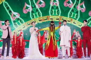 佟丽娅文艺晚会性感图片